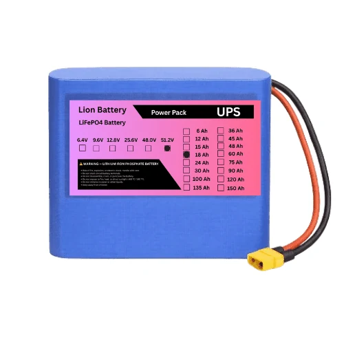 Lion Battery 51.2V lithium battery pack